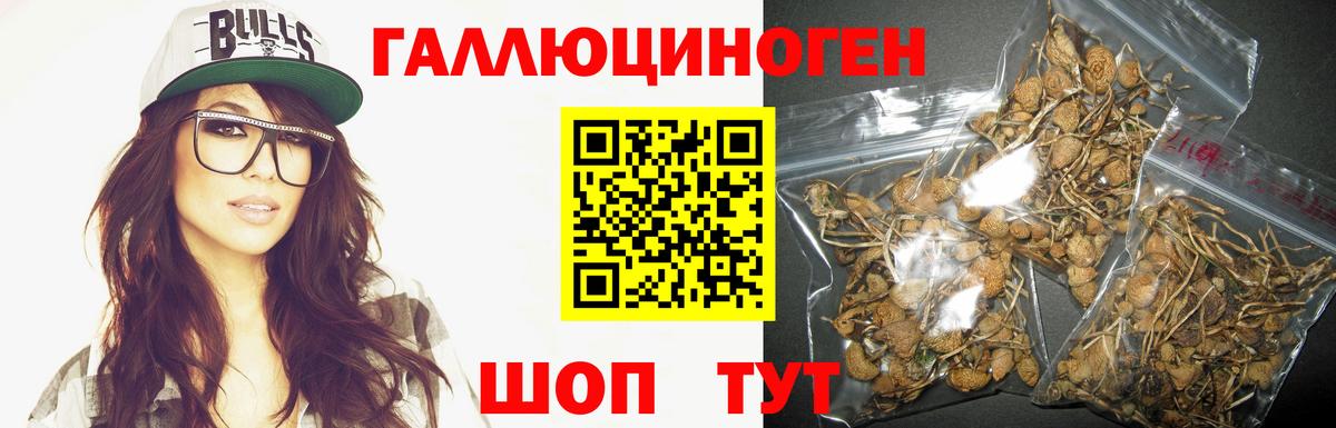 Псилоцибиновые грибы мухоморы  Вход с VPN  Котовск 